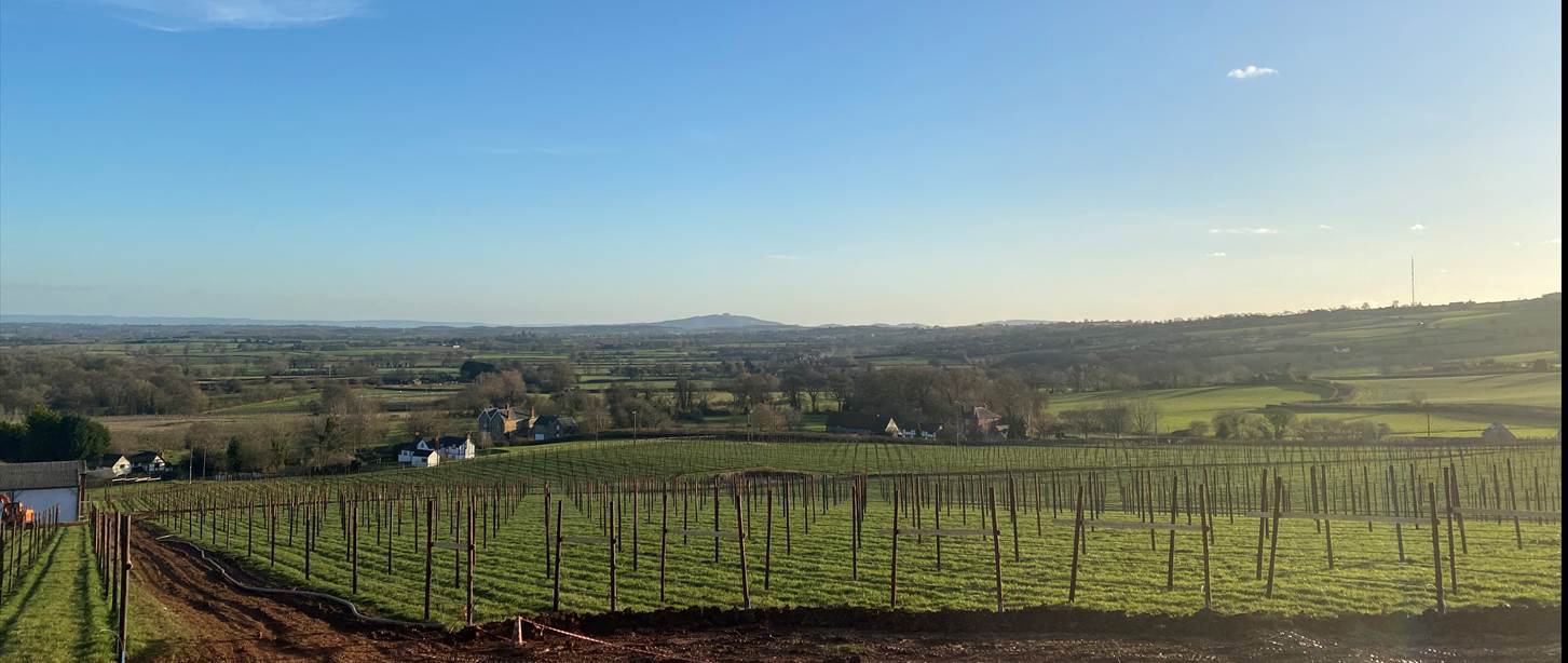Organic Apple Farms Visit Ethical Food Co